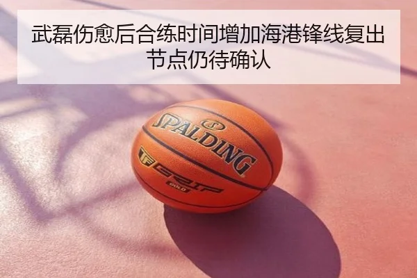 武磊伤愈后合练时间增加海港锋线复出节点仍待确认