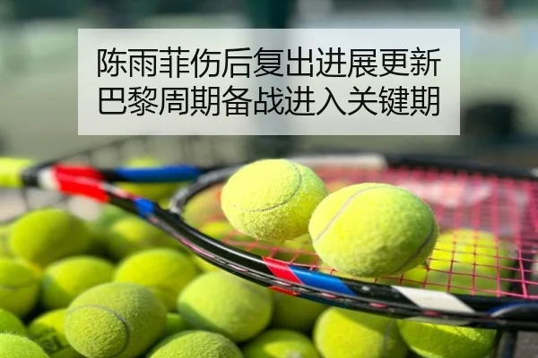 陈雨菲伤后复出进展更新 巴黎周期备战进入关键期